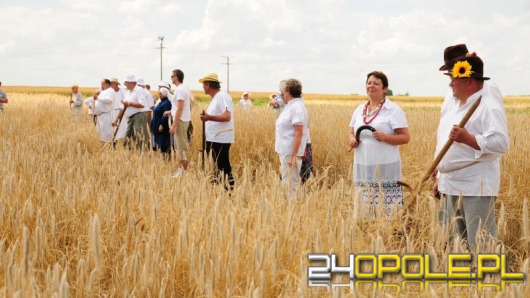 W Piątkowicach walczyli o &#8222;Złotą Kosę&#8221;