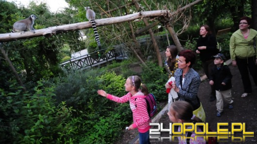 Opolski ogród zoologiczny nocą