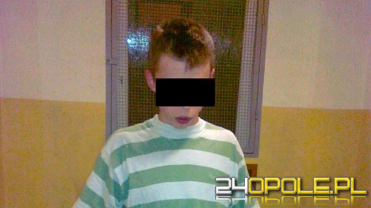 Nastoletni pijany wandal zdemolował 14 aut