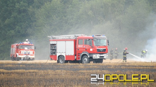 20 hektarów pól spłonęło w powiecie nyskim