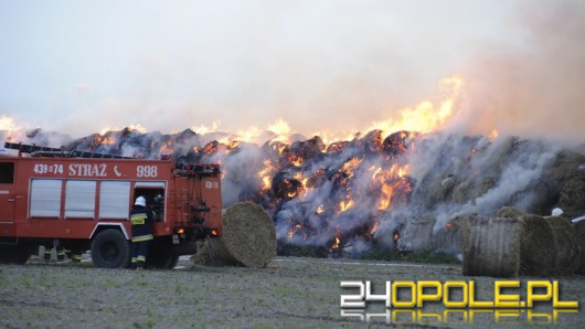 Nieletni podpalacze sprawcami pożarów w Kuniowie