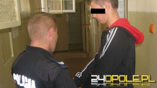 Akcja przeciw dilerom, sześć osób zatrzymanych