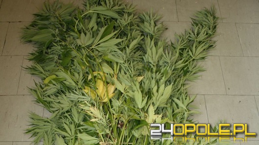 Pięciu nastolatków zatrzymanych za włamania