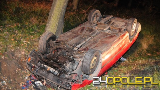 Jeleń przyczyną dachowania w lesie pod Dąbrową