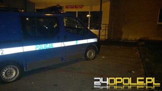 Pijany nastolatek zdemolował policyjny radiowóz