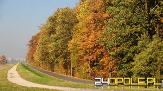 (O)polska, złota jesień. Wykorzystaj ciepły weekend