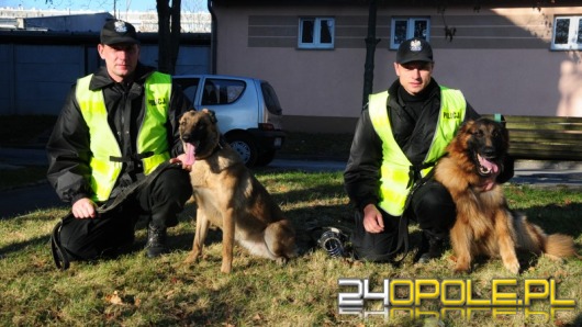 Pies w służbie policji
