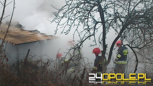 Pożar altany, strażacy podejrzewają podpalenie