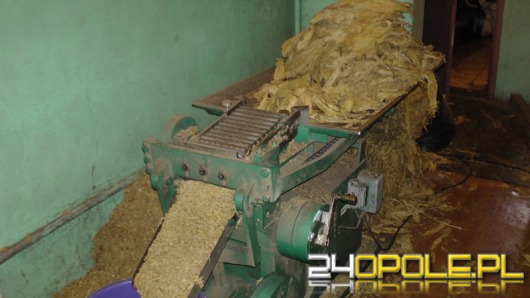 Przestępcy produkowali tytoń w nieczynnej kopalni