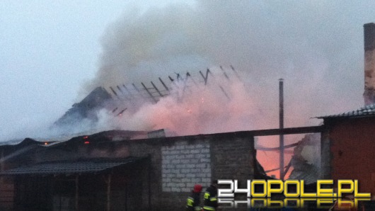 Ogromny pożar w Szczepanku, spłonęła hurtownia sprzętu AGD