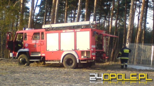 Ktoś podpalił las w Ozimku