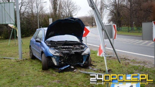 Ślisko na drodze, peugeot skosił znaki drogowe