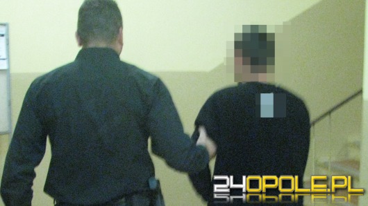 Złodzieje wpadli podczas kontroli drogowej