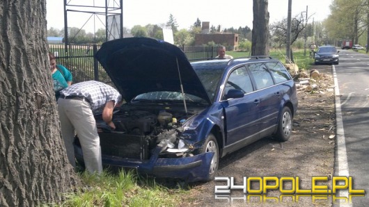 Wiatr powalił drzewo na jadący samochód