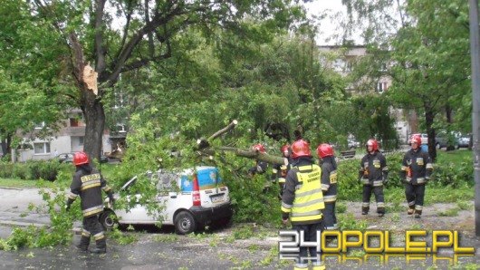 Złamany konar spadł na samochód