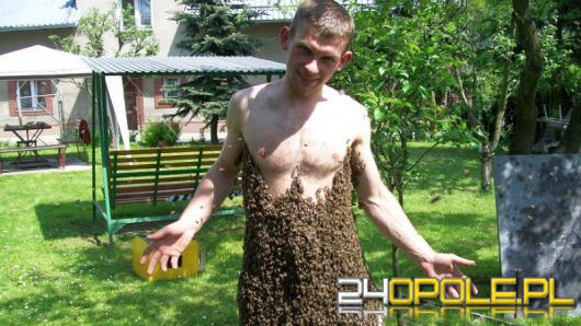 Jarek z Moszczanki, co pszczół się nie boi