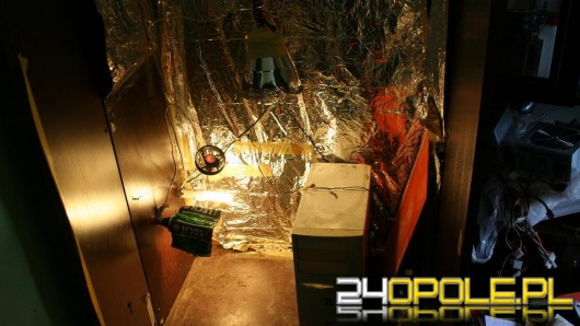 34-latek uprawiał w szafie konopie, był poszukiwany