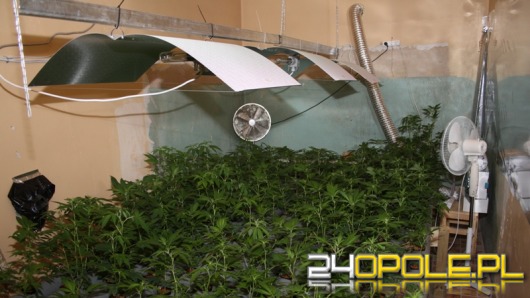 Policjanci z CBŚ uderzyli w narkotykowy biznes