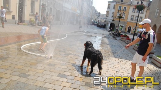 Ratusz czeka z kurtynami na jeszcze większe upały