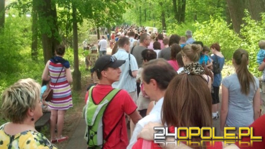 Znikną długie kolejki do opolskiego ZOO?