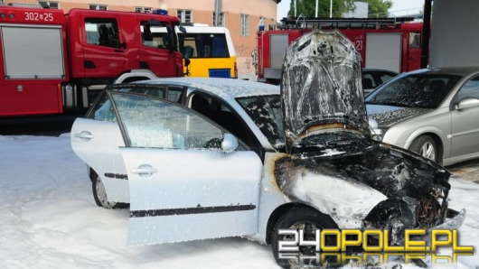 Seat spłonął pod wiaduktem na Struga