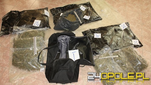 Celnicy udaremnili przemyt 14 kilogramów marihuany