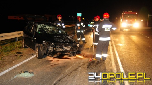 Chciał ominąć dzika, omal nie spadł z wiaduktu