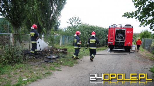 Na działkach na Zaodrzu ktoś podpalił śmieci