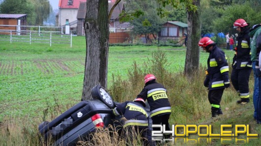 Wypadek w Wójtowicach - starsza kobieta i dziecko ranni