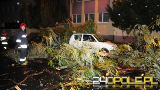 Drzewo spadło na samochód, ZOL bez prądu - efekty wichury na Opolszczyźnie