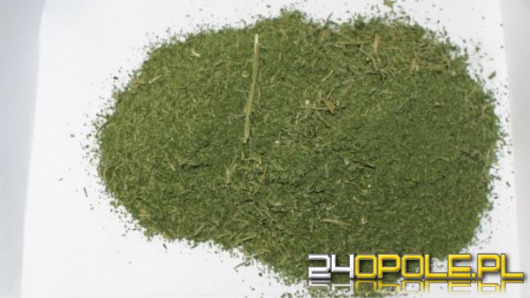 Ukradł narkotyki z plantacji znajomego