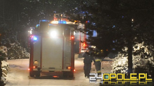 Pożar pawilonu z płazami i gadami w opolskim ZOO