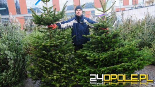 Świąteczne drzewko musi być pachnące