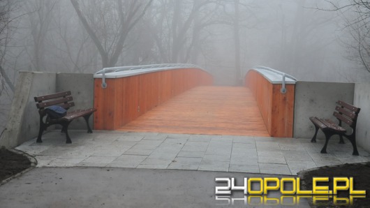 Park na wyspie Bolko pięknieje