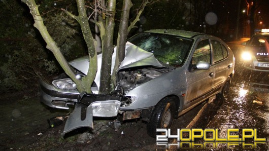 Kierowca roztrzaskał auto na drzewie i uciekł