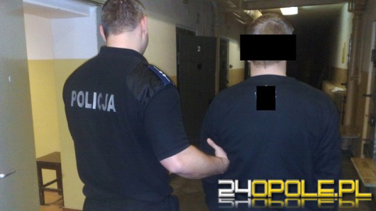 Zatrzymano włamywaczy okradających domy w Nowej Wsi Królewskiej