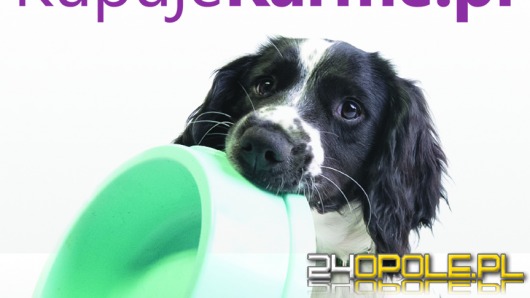 Sprawdź nowy sklep z karmą dla zwierząt !