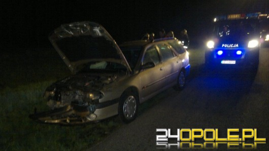 Samochód jadący autostradą uderzył w dzika