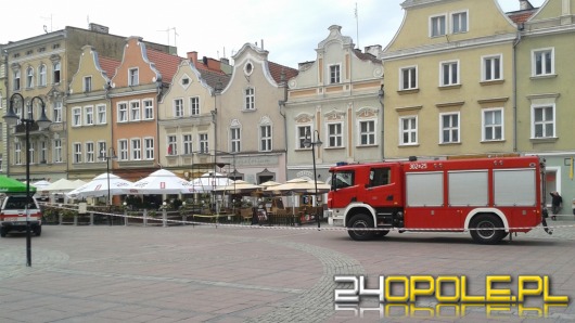 Rój pszczół zaatakował opolski rynek