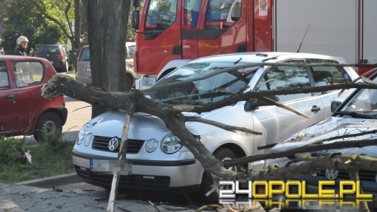 Spadająca gałąź uszkodziła trzy samochody