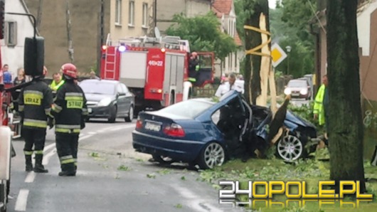 BMW roztrzaskało się na drzewie