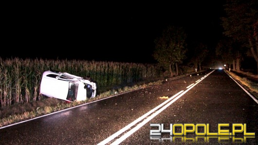 Nietrzeźwa 25-latka spowodowała wypadek pod Kuniowem