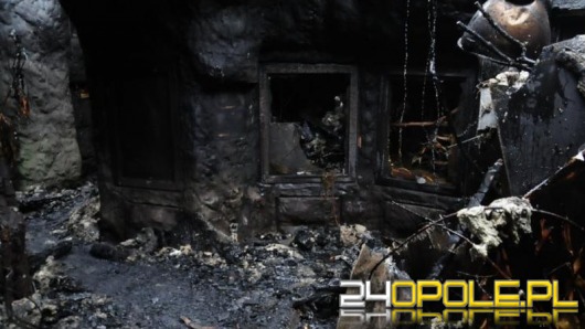 Spalony pawilon w ZOO ma być odbudowany w 2014 roku