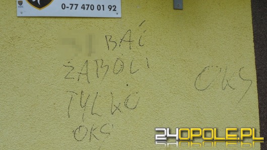Nastolatek zniszczył kilkadziesiąt elewacji budynków