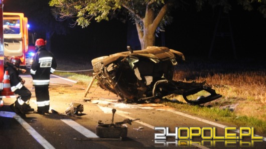 Groźny wypadek pod Strzelcami Opolskimi. 22-latek rozbił auto na drzewie.