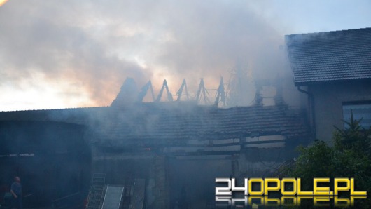 Pożar budynku gospodarczego w Różynie