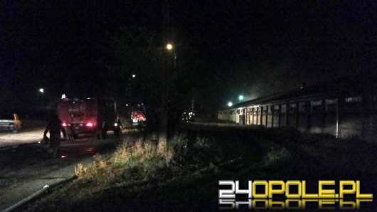 Tysiąc świń padło podczas pożaru pod Namysłowem