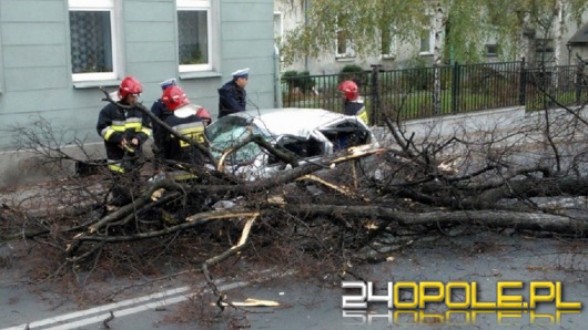 W Prudniku drzewo spadło na samochód