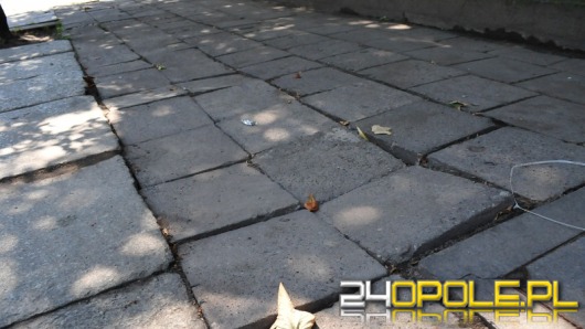 MZD naprawia chodniki w Opolu. Nawet w listopadzie.