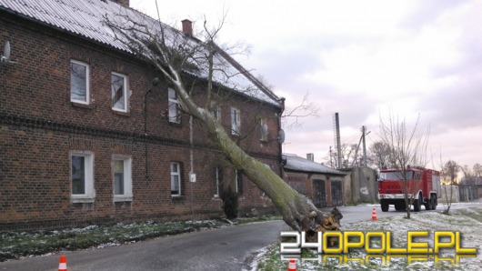 Ponad 70 interwencji strażaków podczas wichury na Opolszczyźnie